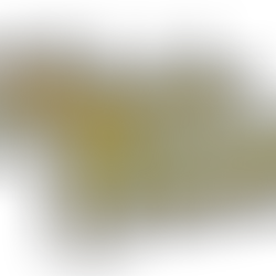 DV8 Events Presents: La Mala Cruda