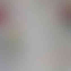 crochet carnation brooch