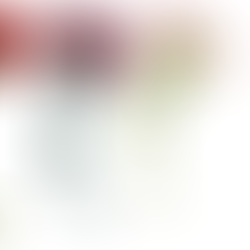 crochet carnation brooch