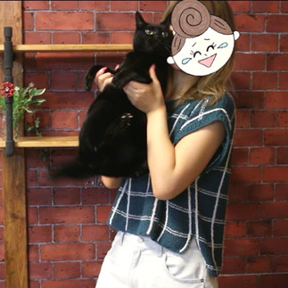 hand-knit window pane tee and black cat
