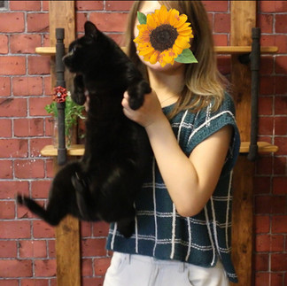 hand-knit window pane tee and black cat