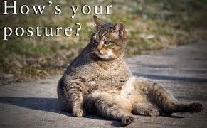 How's Your Posture?