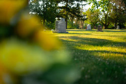 420574590_10219367566140084_7740262064275016729_n_10219367566180085