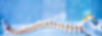 shutterstock_2292941999_edited.jpg