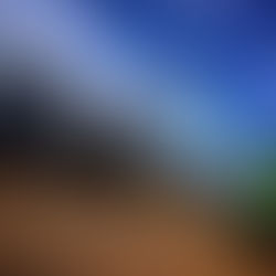 You Can't Fake the Harvest