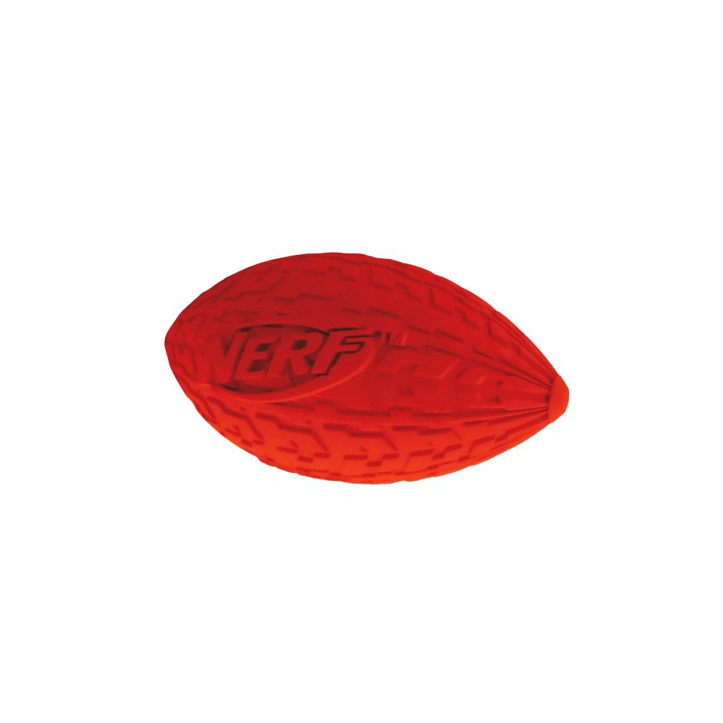 Jouet chien Nerf squeaker