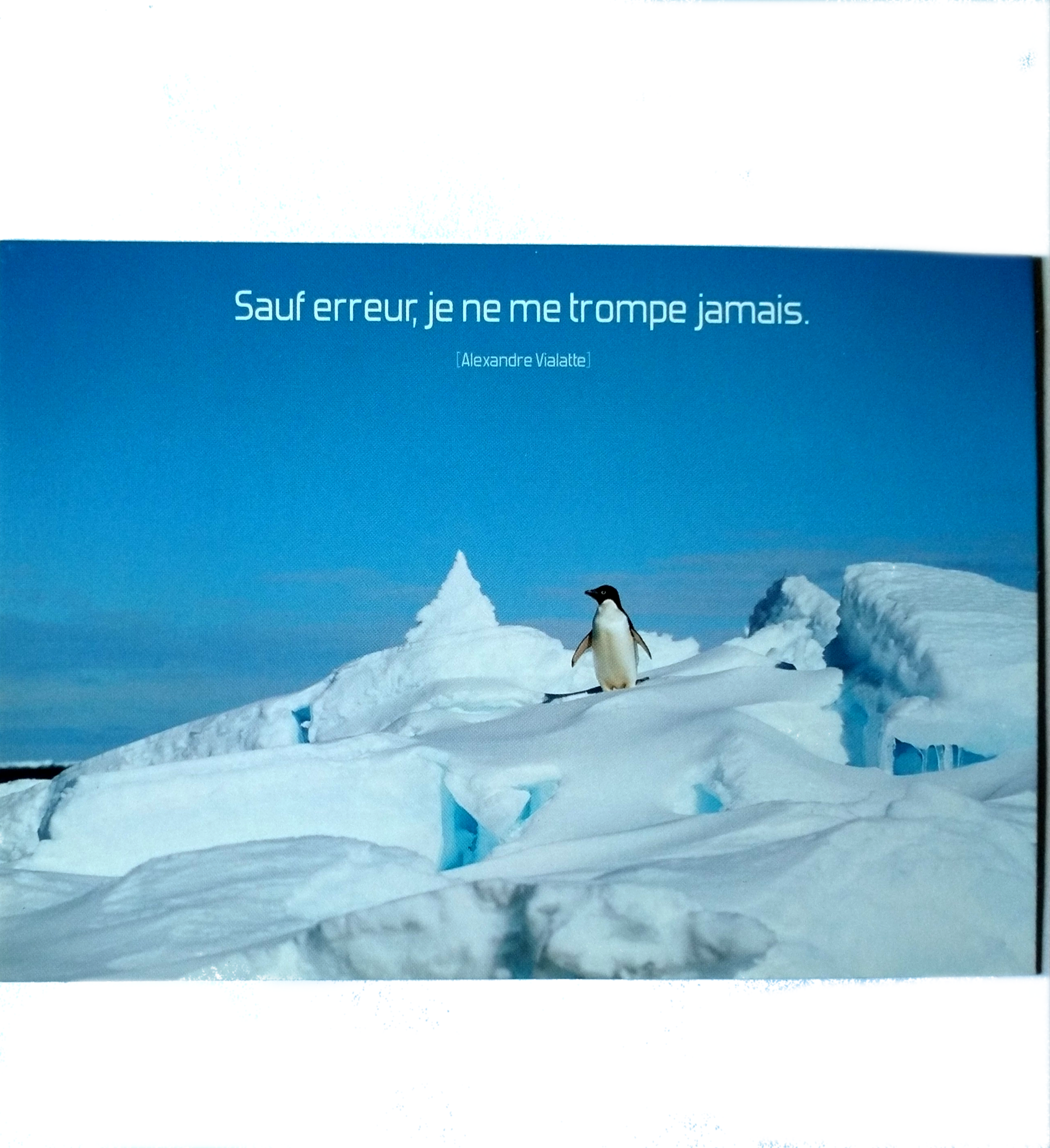 Carte manchot erreur