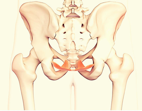 תמונת רצפת האגן
