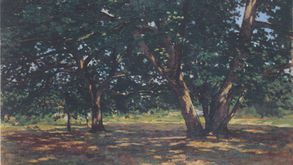 Promenade en forêt
