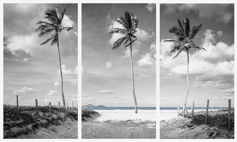 Triptico Portal de Ipanema.jpg