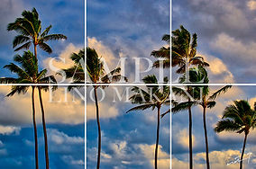 ハワイ写真パネル