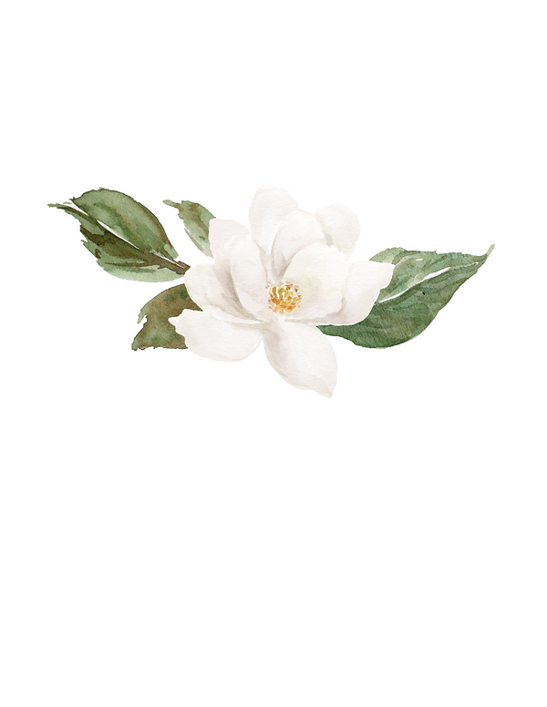 website clipart 2.png