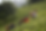 blog_15_11_19.png