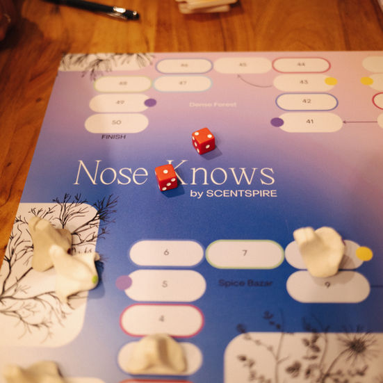 Sensory Training Game