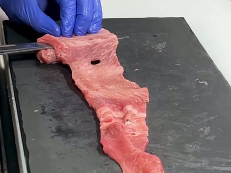 11/23(日)本日は満席ありがとうございます