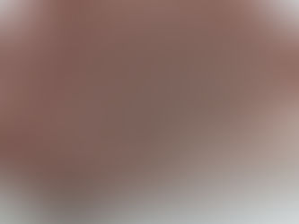 松阪牛シャトーブリアン