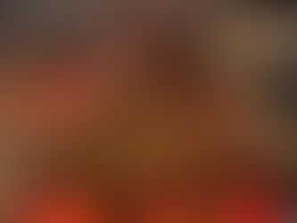 2/1(日)ランチのみ営業