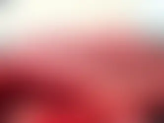 11/2(土)ランチ夜の部共に空いてます