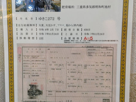 12/4(木)松阪牛ゆきこ272号