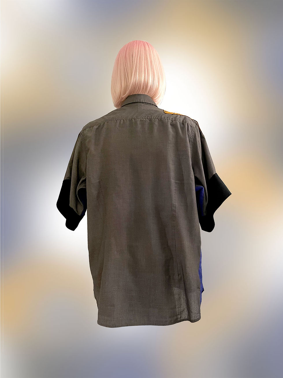 Thumbnail: Oakland Street Cat