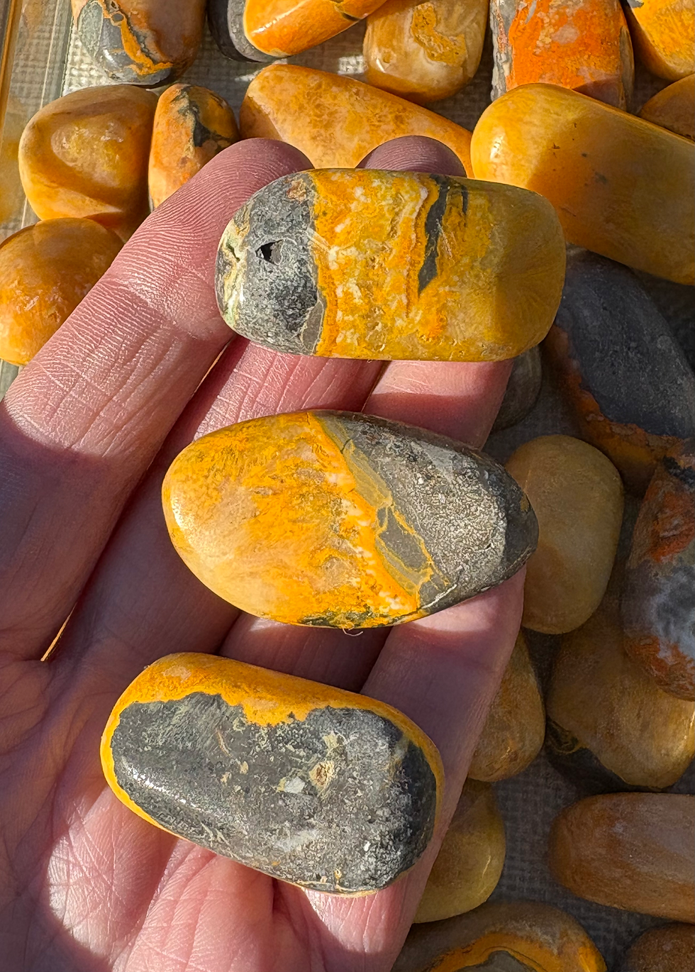 Thumbnail: BumbleBee Jasper Large Tumble Stone 