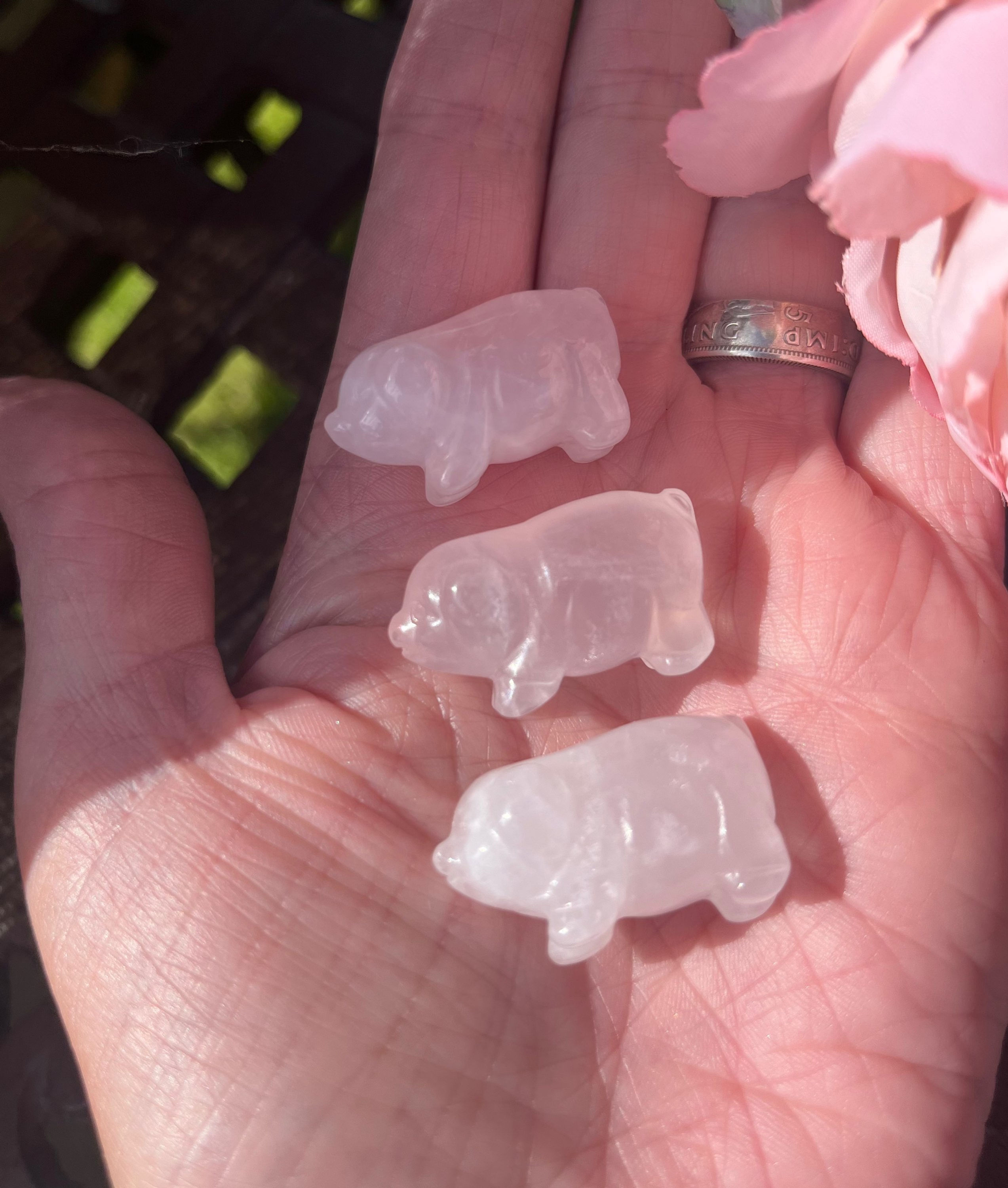 Rose Quartz Mini Piglets 🐖🥰