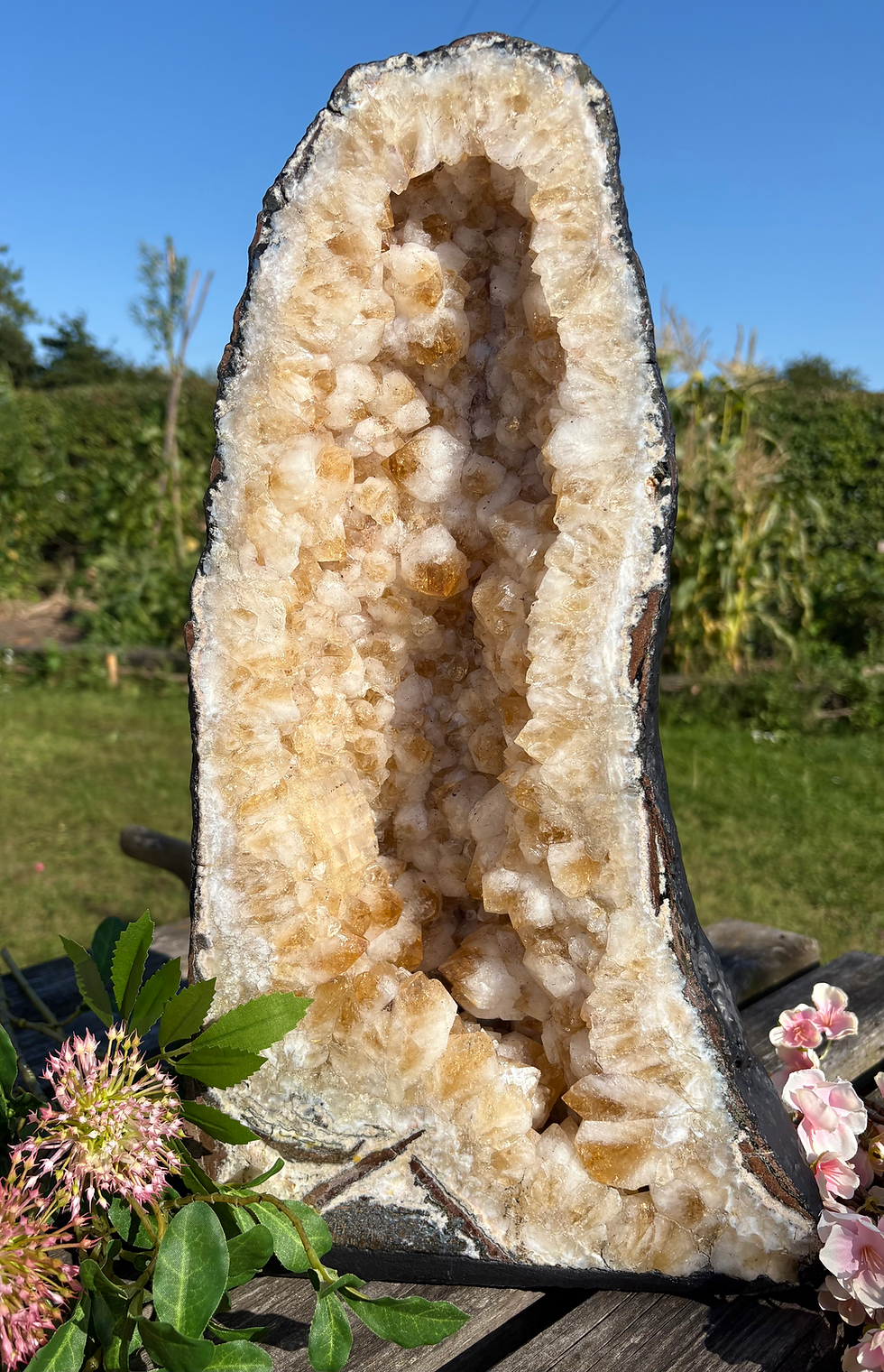 Thumbnail: Citrine Geode Cathedral Crystal Cluster 💛 XL