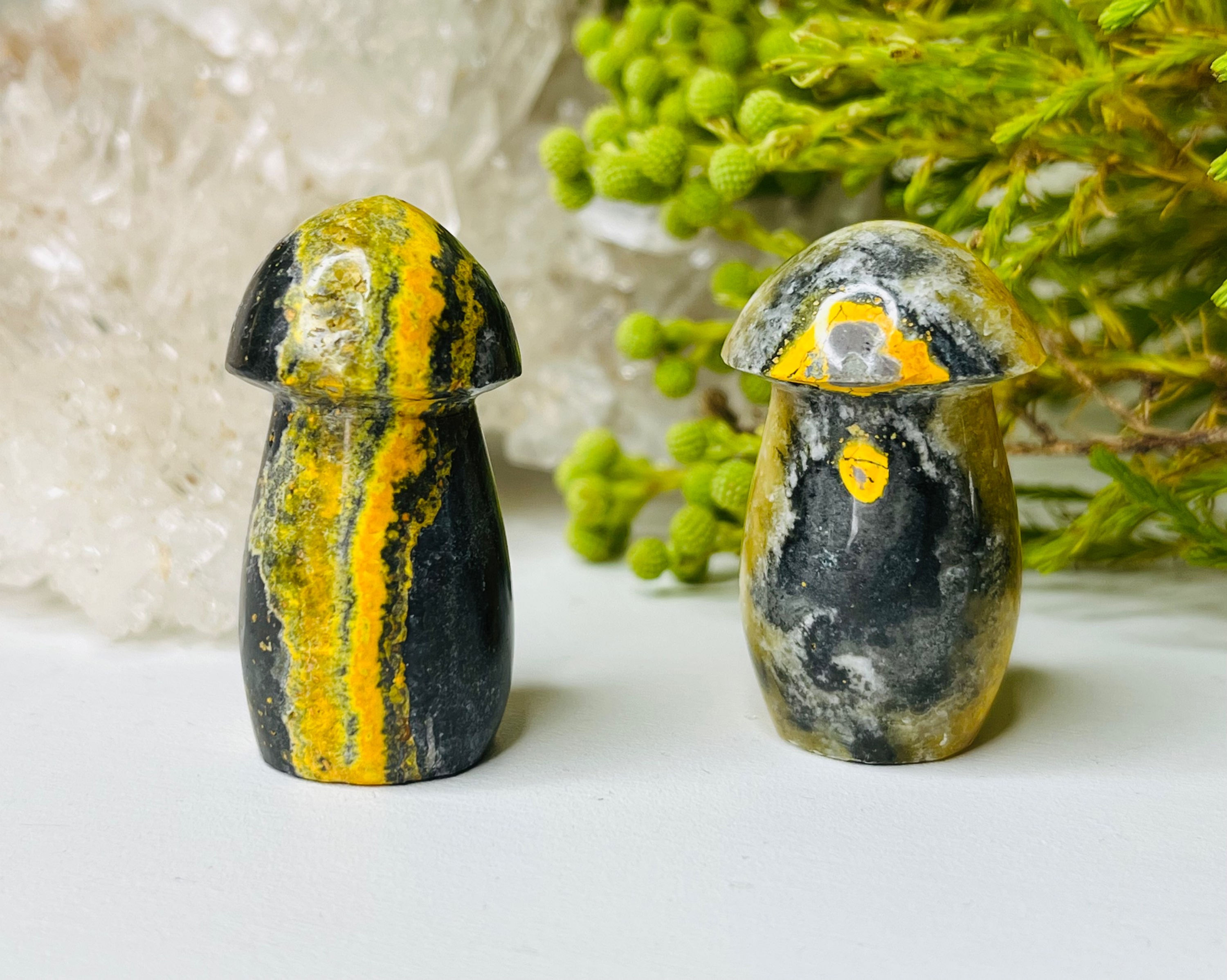 Bumblebee Jasper mushroom 💛🖤