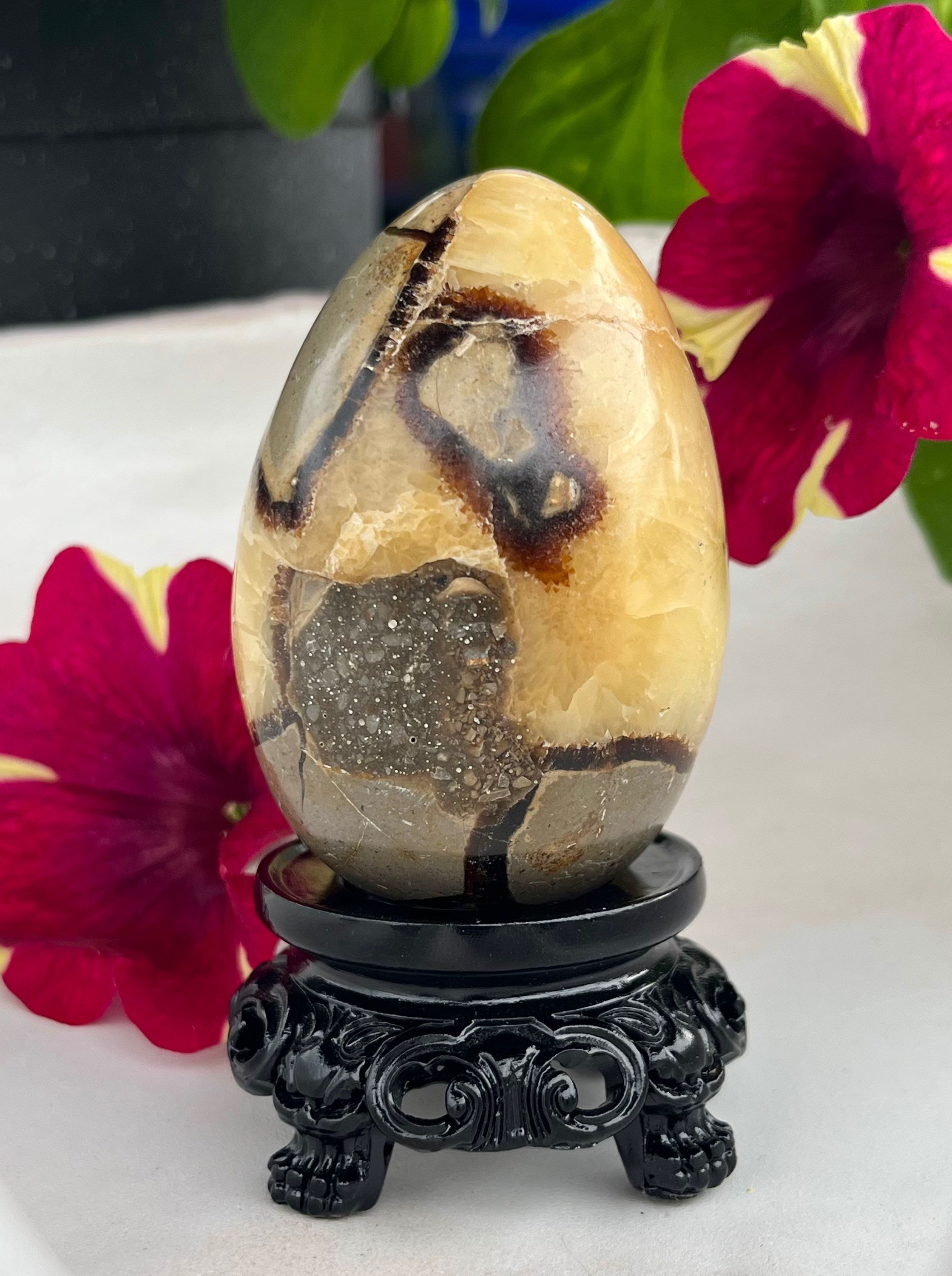 Septarian Dragon Egg 💛🤎