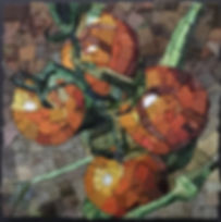 fullsizeoutput_4c55.jpeg