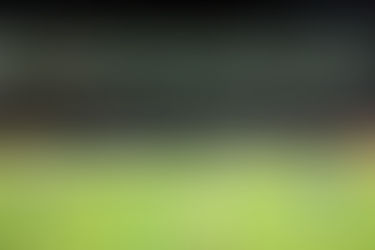 15. Austria Lustenau - WSG Wattens