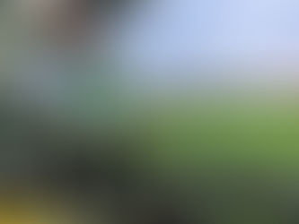 11. SV Ried - Austria Lustenau