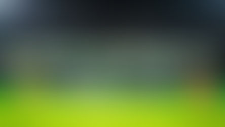 19. Austria Lustenau - LASK Linz