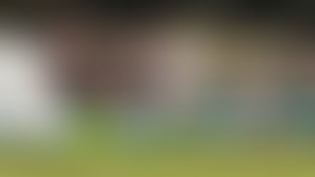 ÖFB CUP 1. Runde: ATSV Stadl-Paura - Austria Lustenau