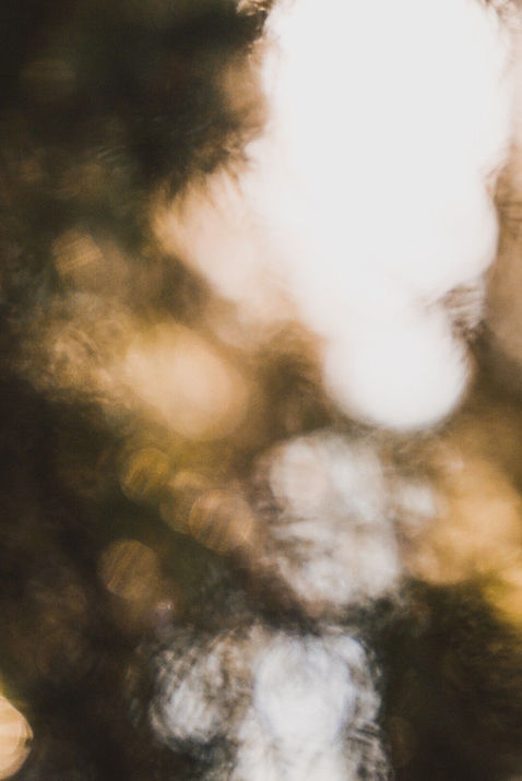 f066da15ffc559924e03f9d7d49179a7.jpg