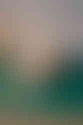 Sarah Capon Model Kit