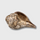 Thumbnail: 法螺 八吉祥圖案 Conch Shell Astamangala Design 21x12cm/968g