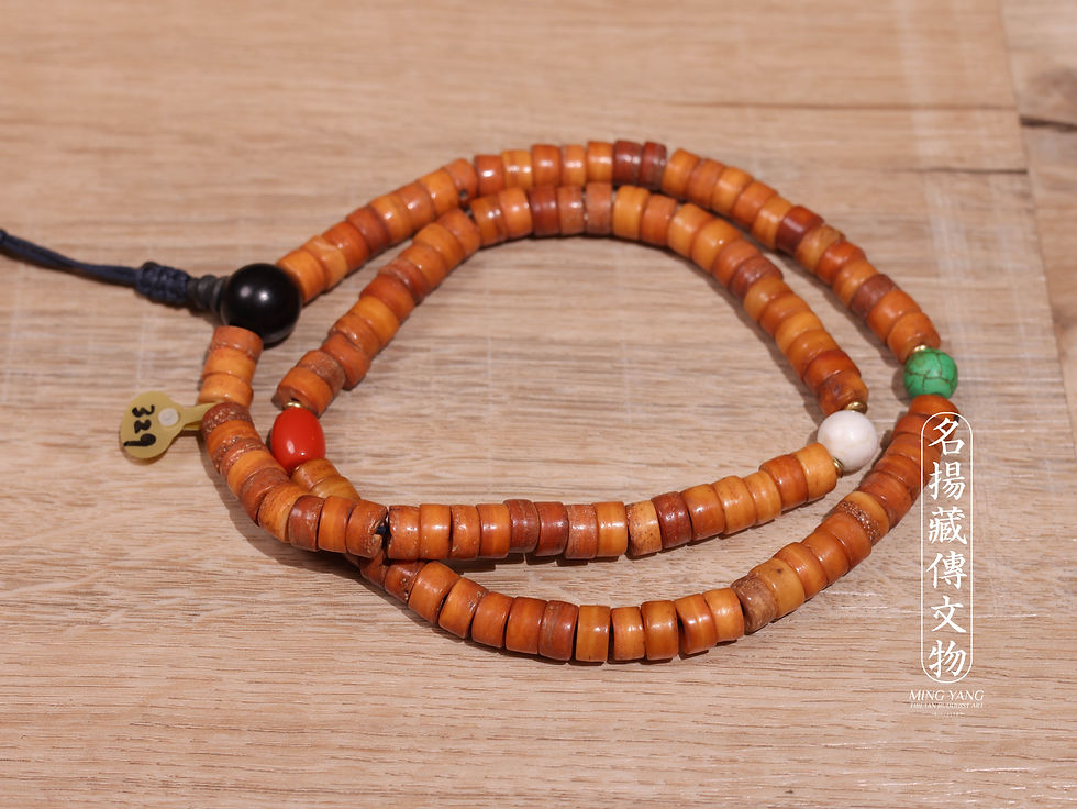 縮圖：骨 108 Bone #M329