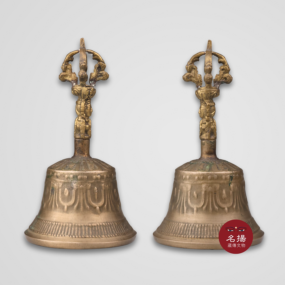 縮圖：五股 15.5cm