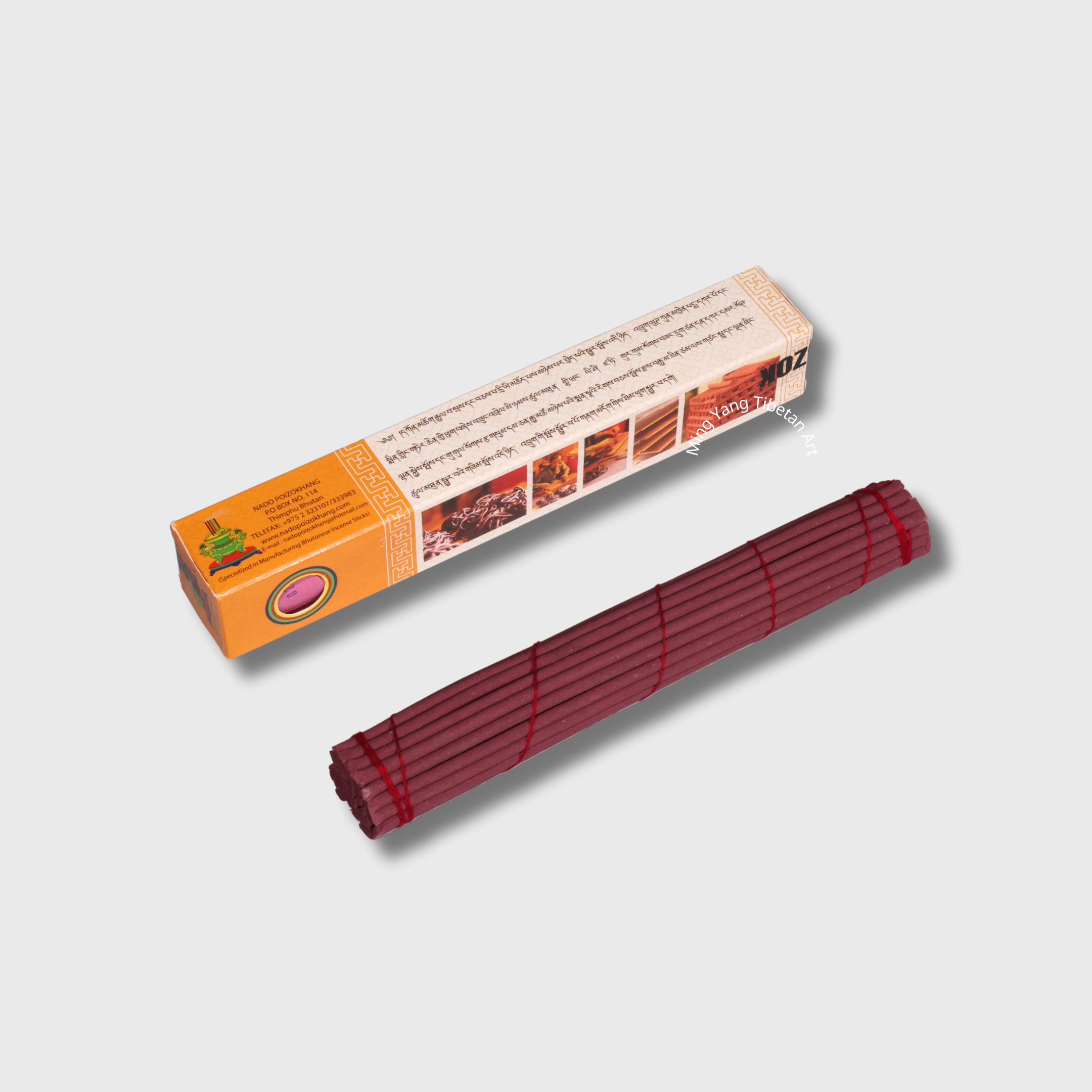 納豆牌 橘色 8.7" (22cm) 一束