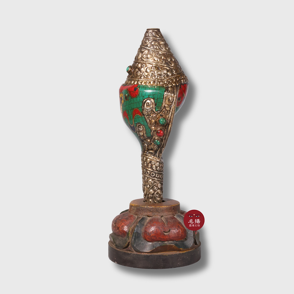 縮圖：法螺  螺圖案 Conch Shell Design 27x11cm/711g