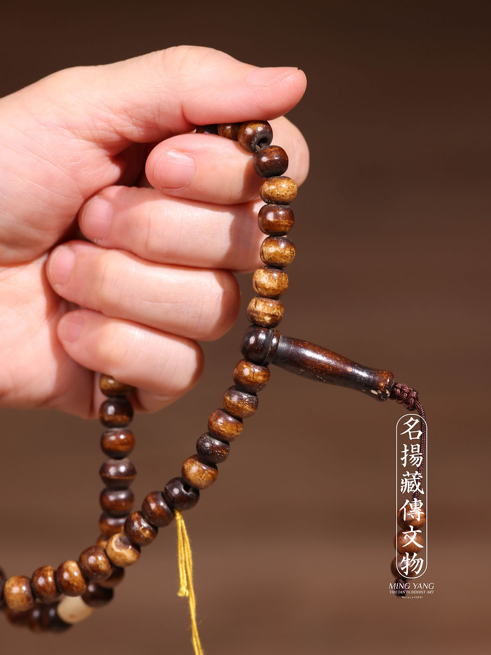 縮圖：骨 108 Bone #411