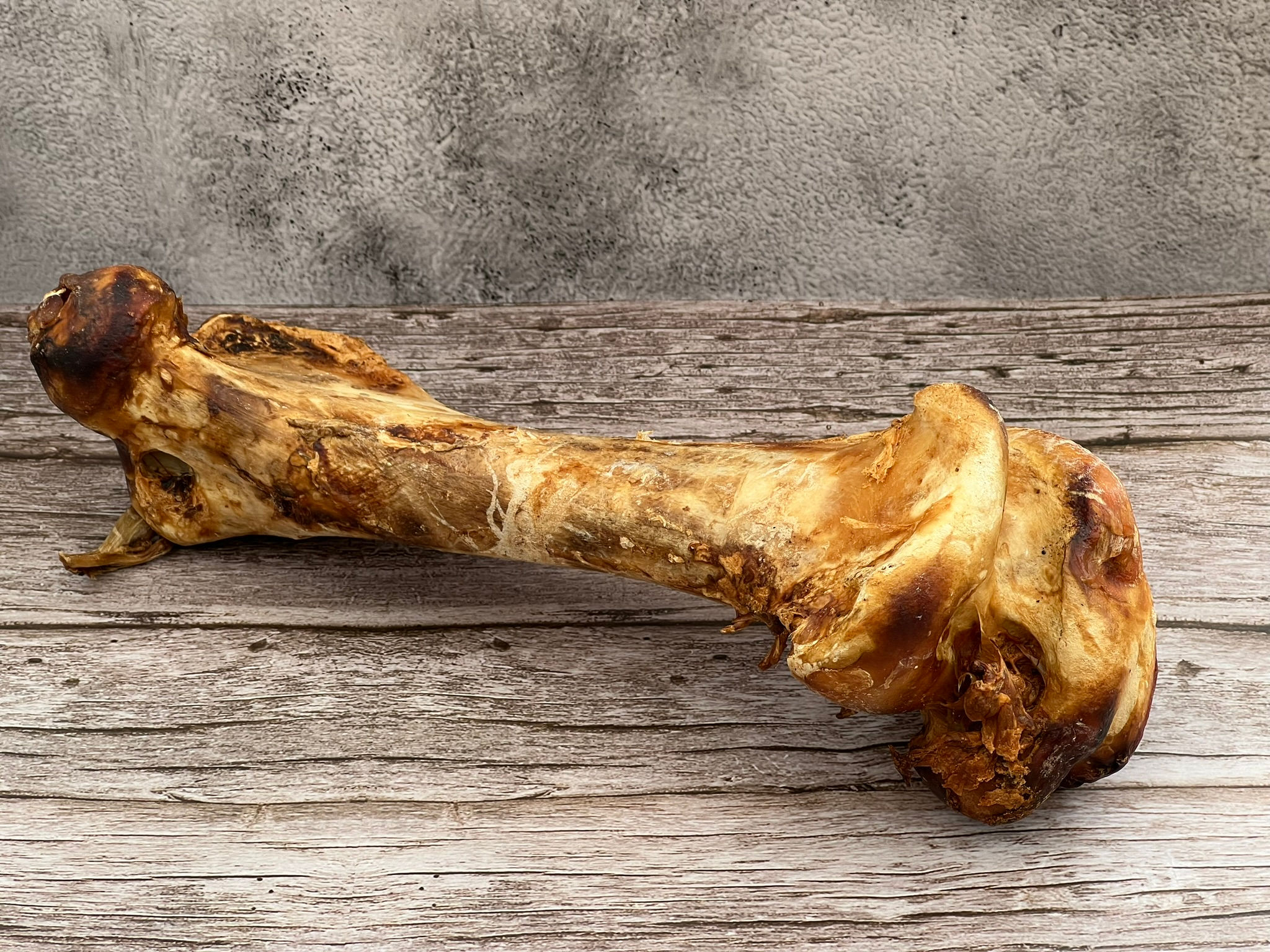 Ostrich Bone