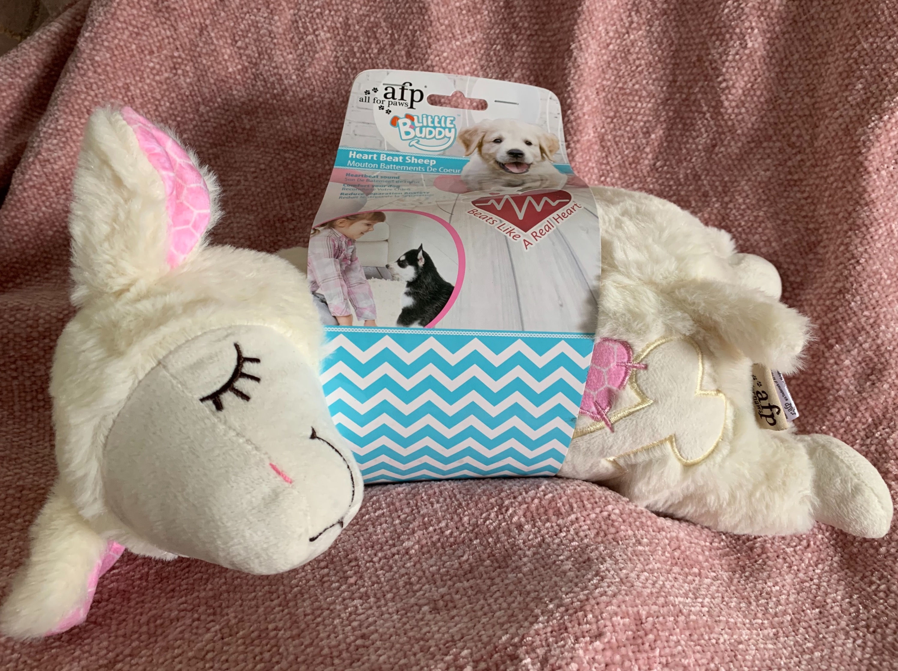 All For Paws Heart Beat Sheep