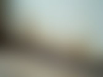 Protect Your Health and Property: The Essential Guide to Mold Inspection After Water Damage