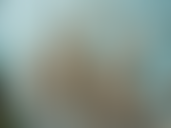 Understanding the Health Risks of Mold: What You Need to Know