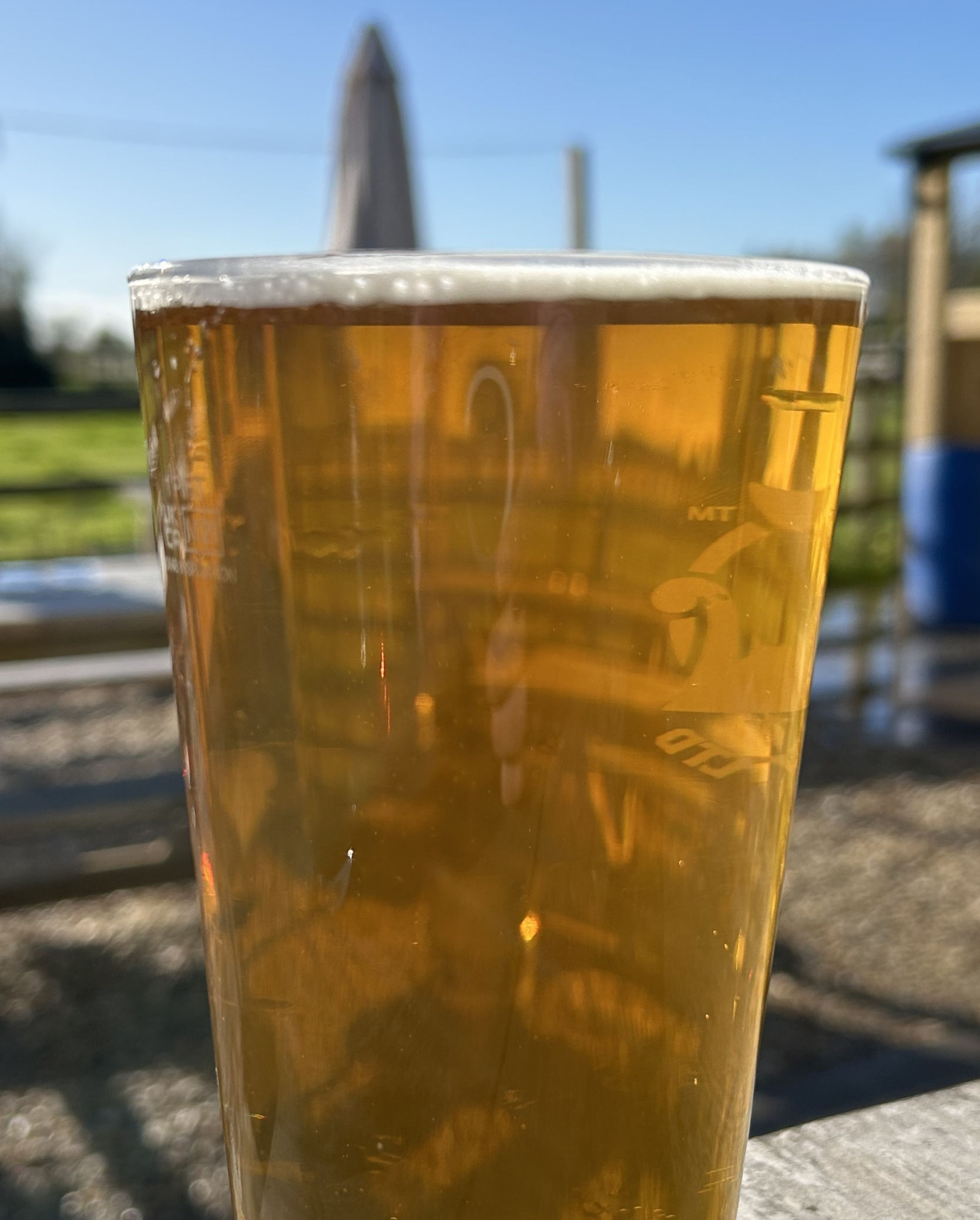 Harding's Golden Ale - 4.2%