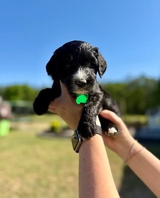 IMG_6289.HEIC