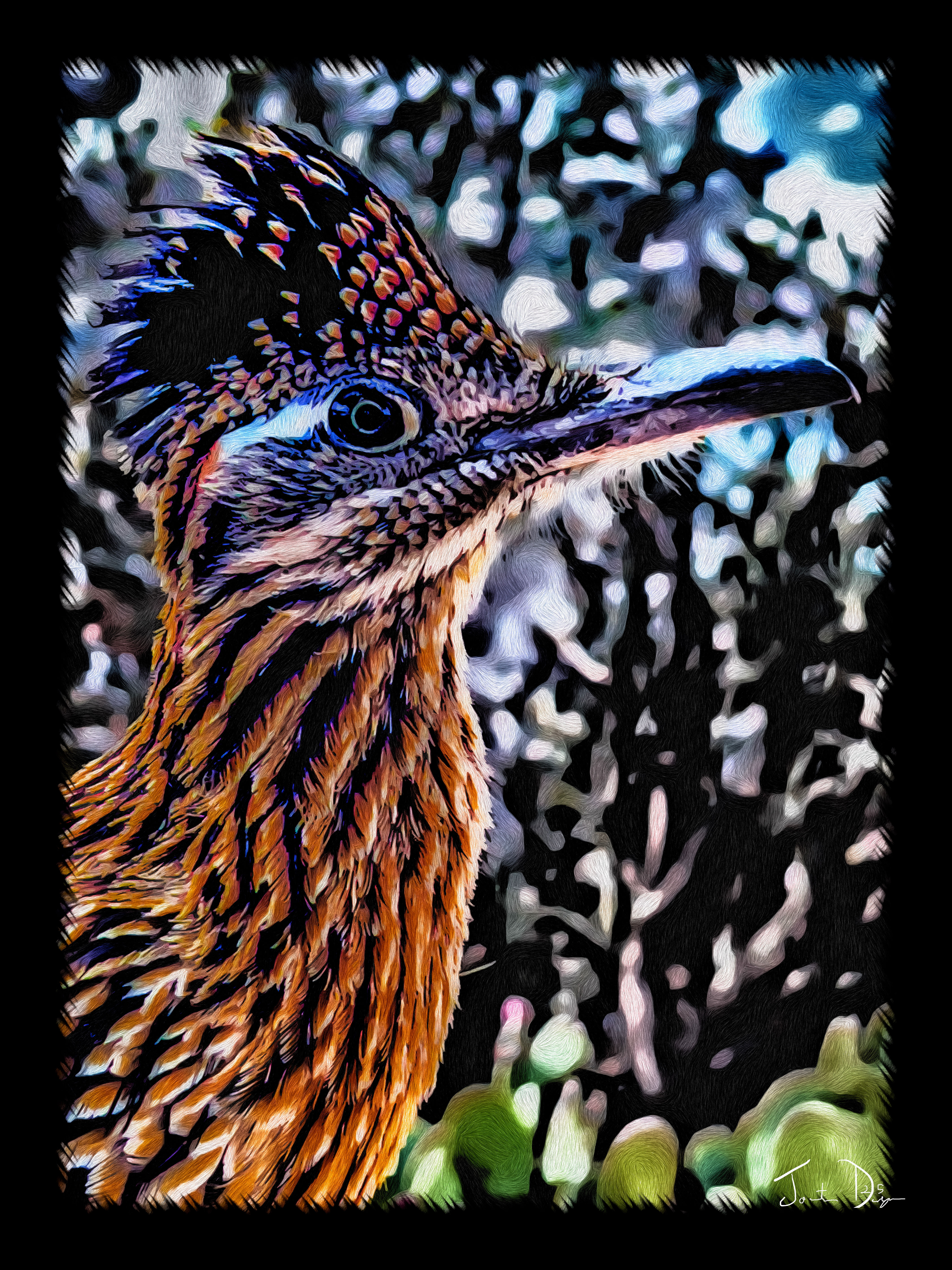 Whimsy Greeting Cards, 50 pack