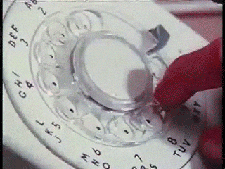 5qFCwm9v4JrG82RkLK.gif